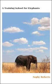 Cover von A Training School for Elephants