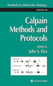 Cover von Calpain Methods and Protocols
