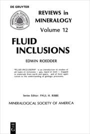 Cover von Fluid inclusions