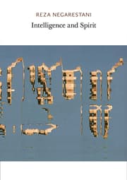 Cover von Intelligence and Spirit