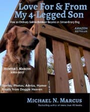 Cover von Love For & From My 4-Legged Son: How an ordinary golden retriever became an extraordinary dog