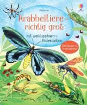 Cover von Krabbeltiere - richtig groß