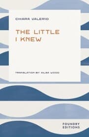 Cover von The Little I Knew