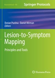 Cover von Lesion-to-Symptom Mapping