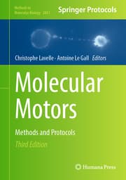 Cover von Molecular Motors