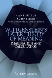 Cover von Wittgenstein's Later Theory of Meaning