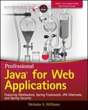 Cover von Professional Java for Web Applications