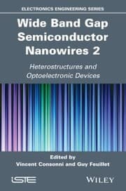 Cover von Wide Band Gap Semiconductor Nanowires 2