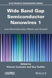 Cover von Wide Band Gap Semiconductor Nanowires 1