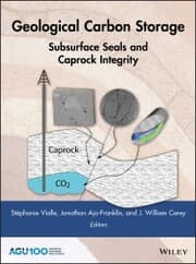 Cover von Geological Carbon Storage
