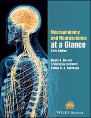 Cover von Neuroanatomy and Neuroscience at a Glance