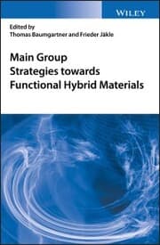 Cover von Main Group Strategies towards Functional Hybrid Materials