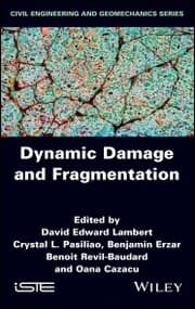 Cover von Dynamic Damage and Fragmentation