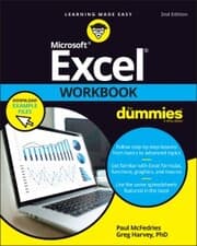 Cover von Excel Workbook For Dummies