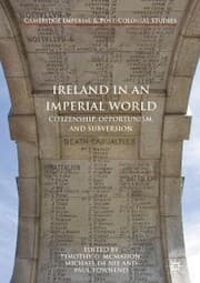 Cover von Ireland in an Imperial World