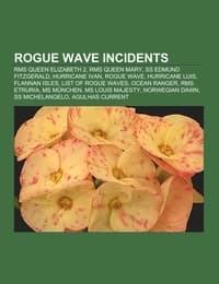Cover von Rogue wave incidents