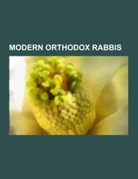 Cover von Modern Orthodox rabbis