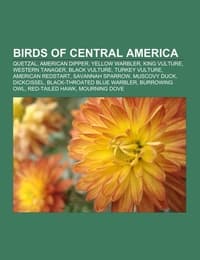 Cover von Birds of Central America