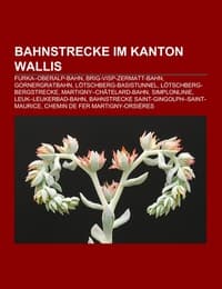 Cover von Bahnstrecke im Kanton Wallis