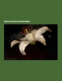Cover von Beratungsunternehmen