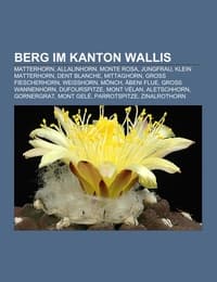 Cover von Berg im Kanton Wallis
