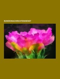 Cover von Bundesnachrichtendienst