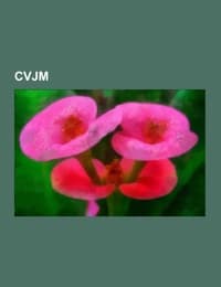 Cover von CVJM