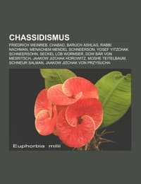 Cover von Chassidismus