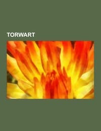 Cover von Torwart