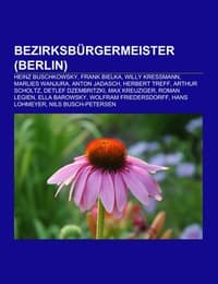 Cover von Bezirksbürgermeister (Berlin)