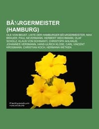 Cover von Bürgermeister (Hamburg)