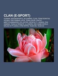 Cover von Clan (E-Sport)