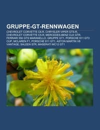 Cover von Gruppe-GT-Rennwagen