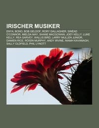 Cover von Irischer Musiker