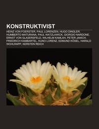 Cover von Konstruktivist