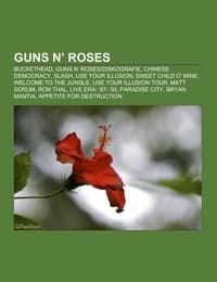 Cover von Guns N' Roses
