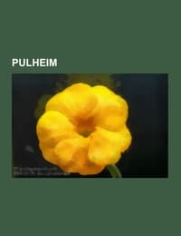 Cover von Pulheim