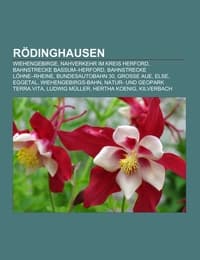 Cover von Rödinghausen