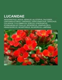 Cover von Lucanidae