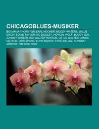 Cover von Chicagoblues-Musiker