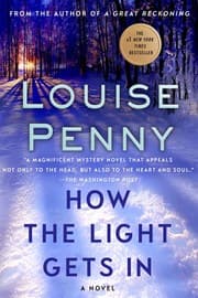 Cover von How the Light Gets in