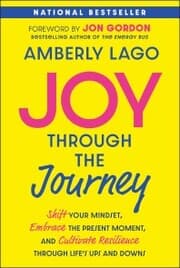 Cover von Joy Through the Journey