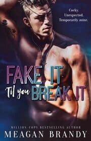 Cover von Fake It 'Til You Break It
