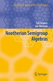 Cover von Noetherian Semigroup Algebras