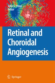 Cover von Retinal and Choroidal Angiogenesis