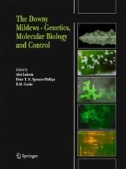 Cover von The Downy Mildews - Genetics, Molecular Biology and Control