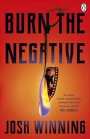 Cover von Burn The Negative