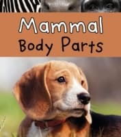 Cover von Mammal Body Parts