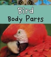 Cover von Bird Body Parts