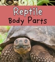 Cover von Reptile Body Parts